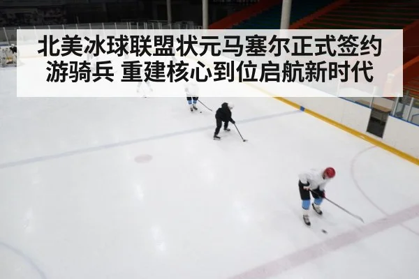 ice hockey rink