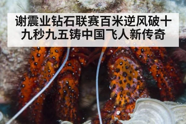 谢震业钻石联赛百米逆风破十 九秒九五铸中国飞人新传奇