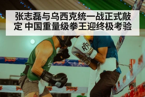 张志磊与乌西克统一战正式敲定 中国重量级拳王迎终极考验