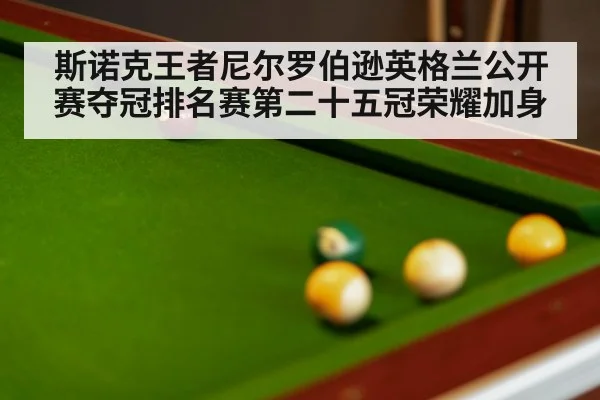 snooker final match