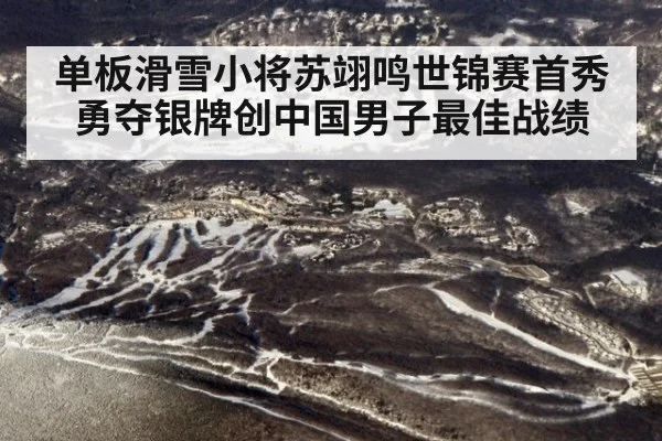 单板滑雪小将苏翊鸣世锦赛首秀勇夺银牌创中国男子最佳战绩